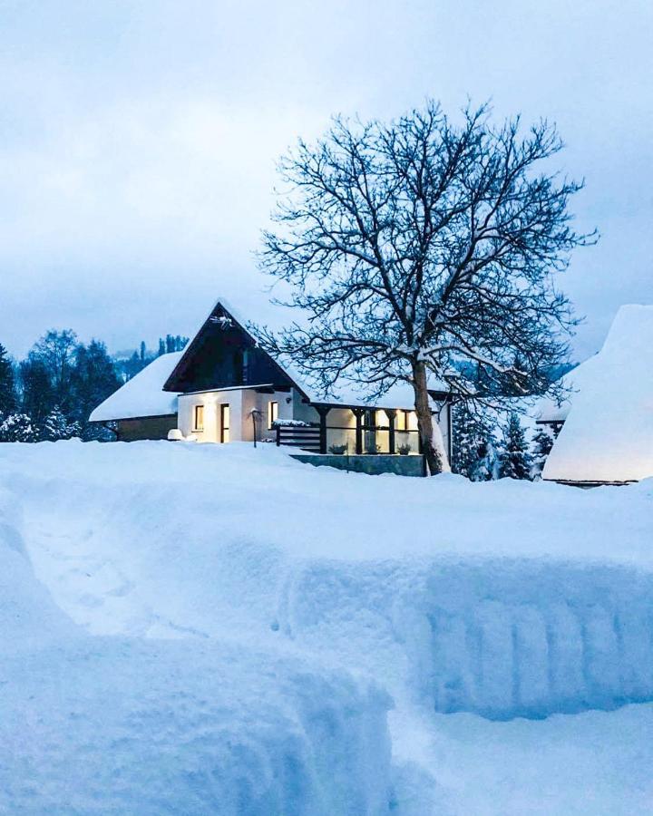 Villa Malinowa Osada à Wisła Extérieur photo